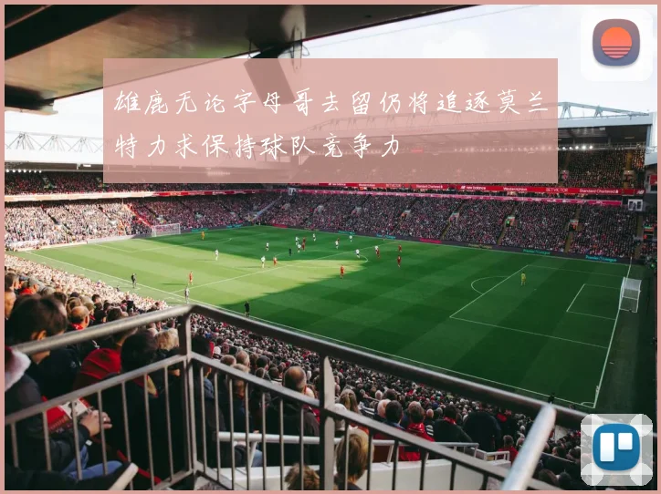 雄鹿无论字母哥去留仍将追逐莫兰特力求保持球队竞争力