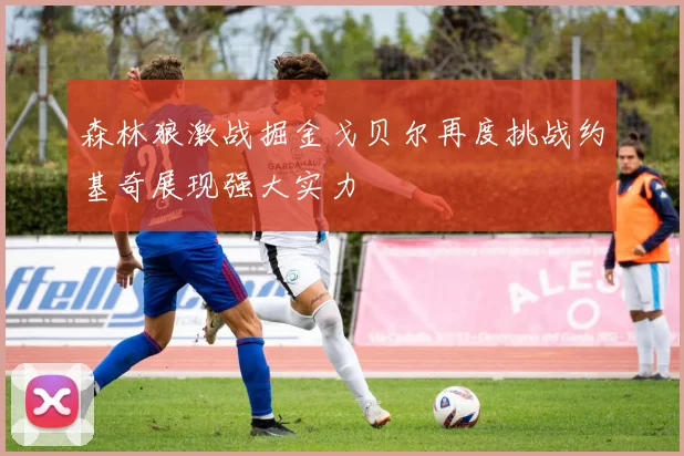 森林狼激战掘金戈贝尔再度挑战约基奇展现强大实力